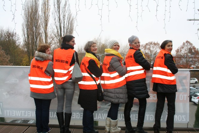 zsn-2016_zc-landau-ger