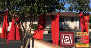 zontareddressproject-300x160